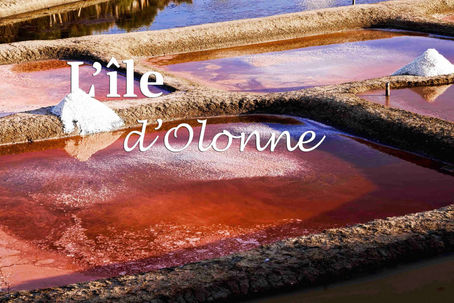 L'île d'Olonne