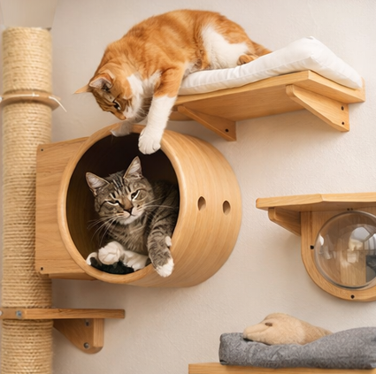 Tipos de enriquecimento ambiental para gatos