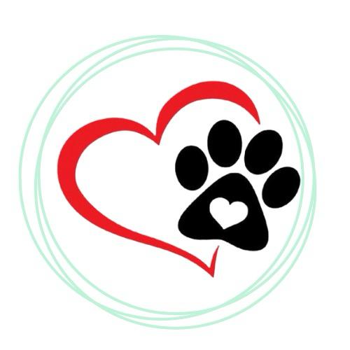 Foto do escritor: Amor Sobre Patas