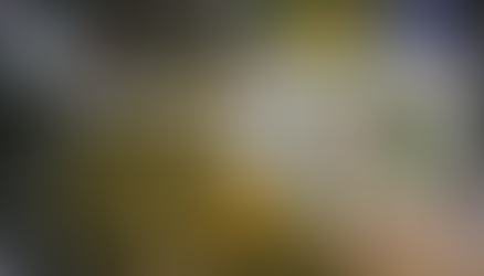 Thiết kế Website Bán phở