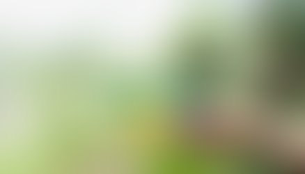 Thiết kế Website Môi trường, Dịch vụ môi trường