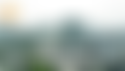 Thiết kế Website tại Thành phố Thủ Đức