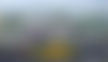 Thiết kế Website tại Quận 12 Thành phố Hồ Chí Minh