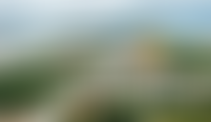 Thiết kế Website tại Huyện Nhà Bè Thành phố Hồ Chí Minh