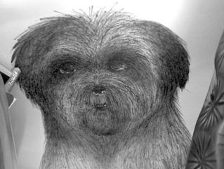 Pet Portrait: Flossy (from Seattle)