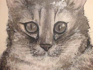 Pet Portrait: Cashew (from Los Angeles)