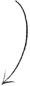 Prospero - Imageserts_edited.png