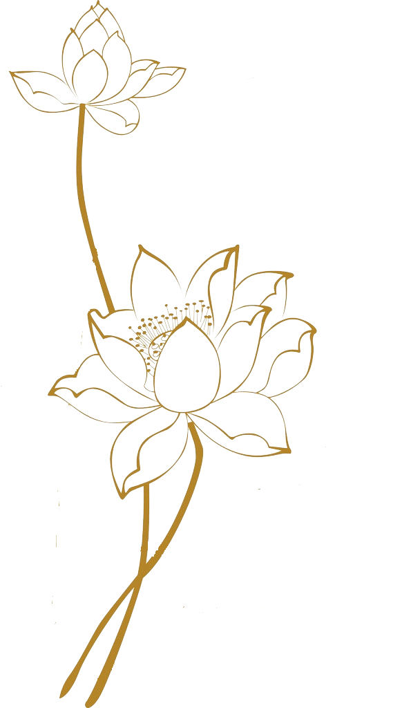 Flowerpng.png