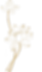 Flowerpng.png