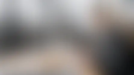 Rejet de la Loi Grémillet : quel avenir pour les énergies renouvelables ?