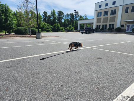 Thor leaving the event after a day's work.