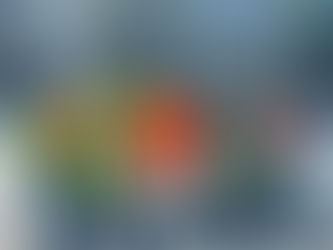 Kannapolis Mayor, Darrell Hinnant, thanked volunteers.