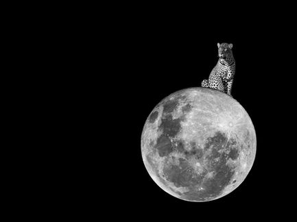 1Sitting on the Moon.jpg