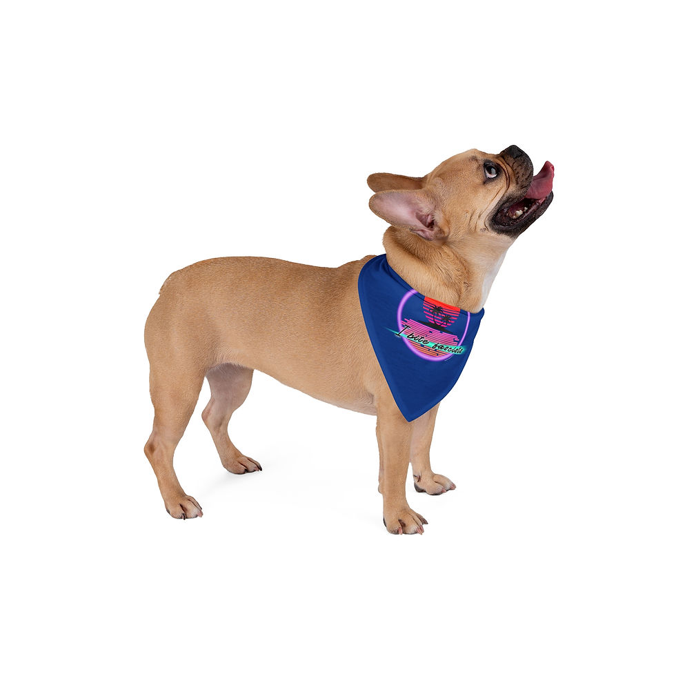 Thumbnail: Retro Bite Fascists pet bandana