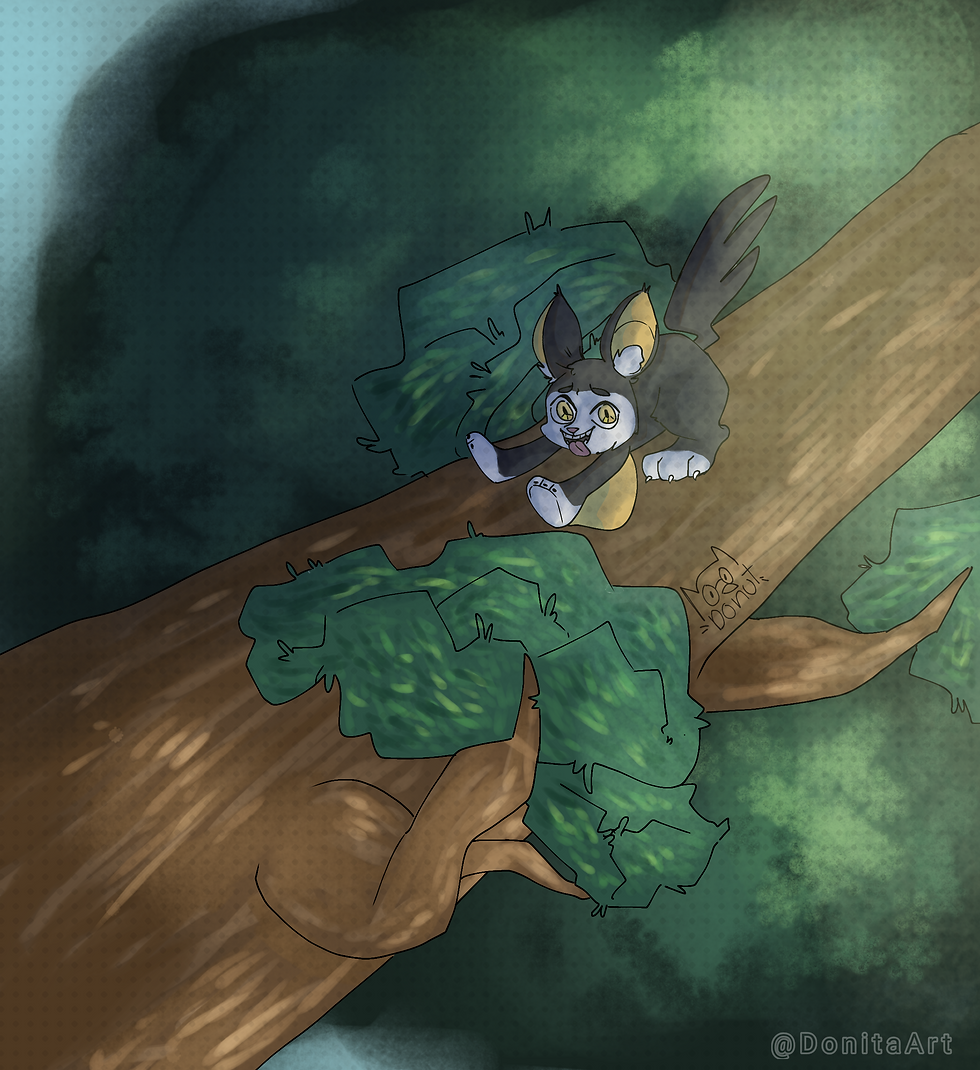 Miniatura: FullBody