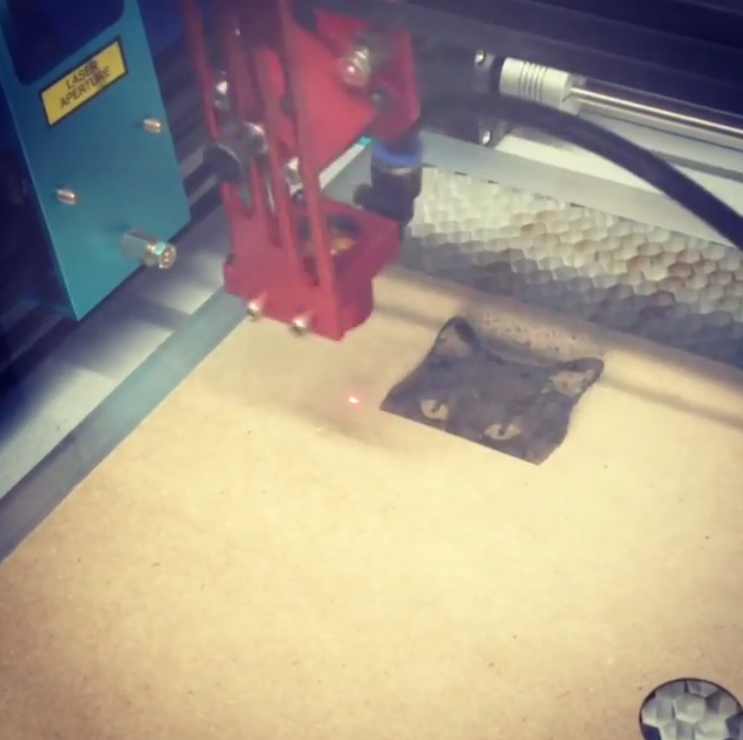 Laser Cat
