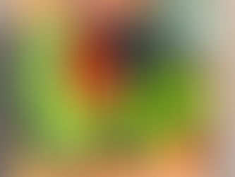 暮らしはだんだん整っていく~半年の振り返り~