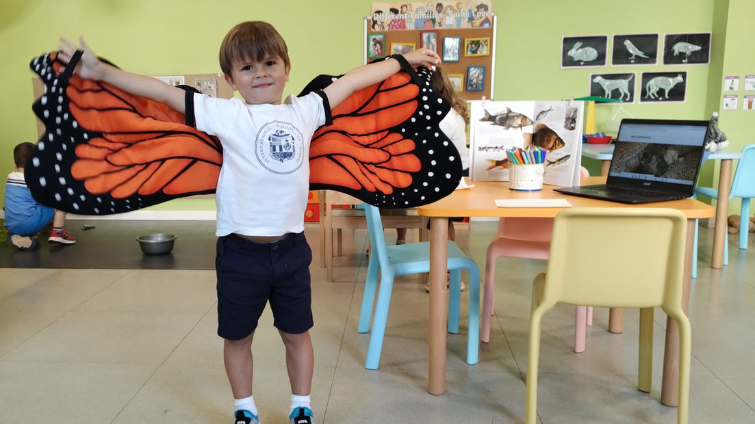 Reception Learner - Inquiry into animal needs