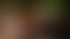 Nutcracker in Havana