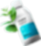 Image_head_0004_MINT-copy-2_s.png