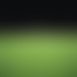 The CIO's Playbook for Economic Uncertainty