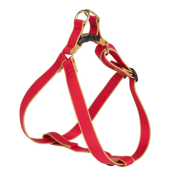 Thumbnail: Color Market Collection Harnesses