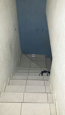 14218335_551003851776766_154490401_n