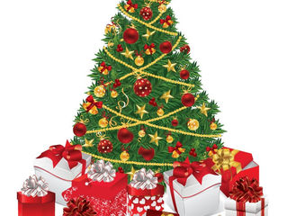Happy Holidays! Our new Macroderma crystal and diamond models are in stock and on sale now!