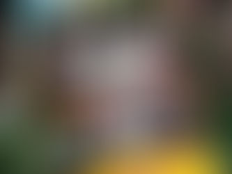 みんなでユニバに行く 役割が変わることで成長が見える