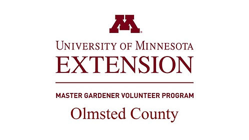 MGVP Olmsted (2)-page-0.jpeg