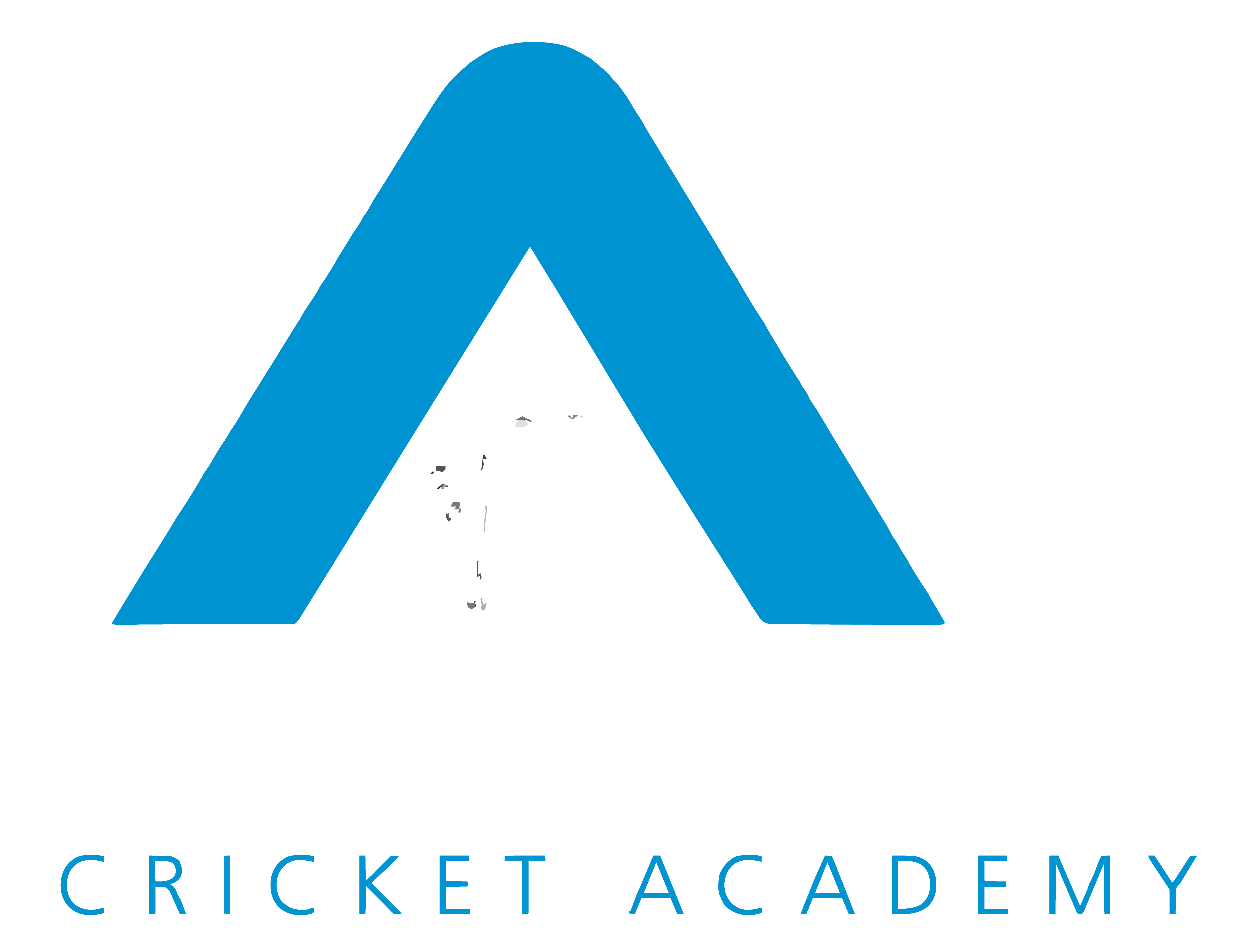 Adil Rashid logo_Dark Background.png