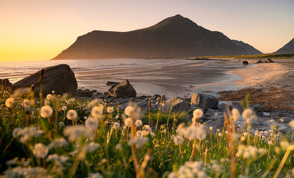 Lofoten-lightscape-tours-08.jpg