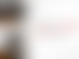 Commercial Exhaust Canopy Fan