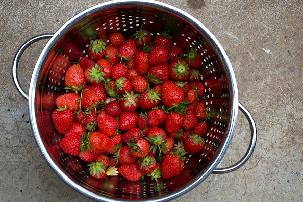 strawberrys.jpeg