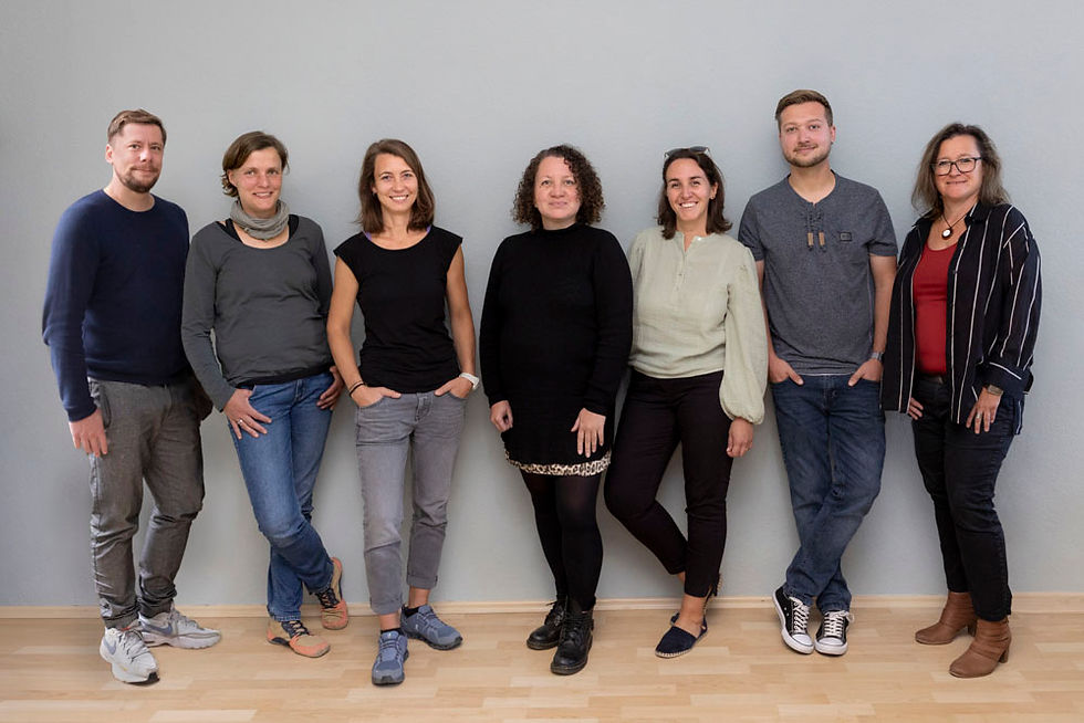 IVI Team
