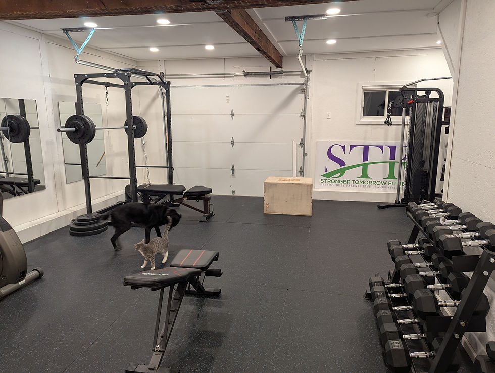 gym.jpg