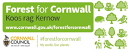 Free trees!