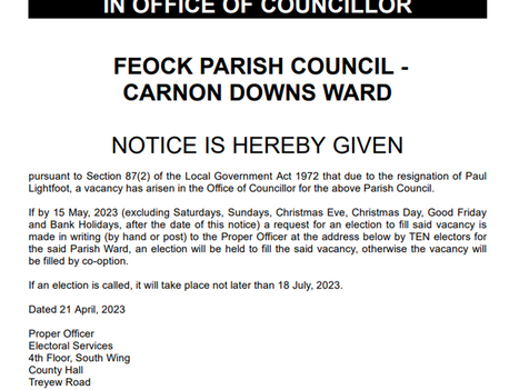 Casual vacancy - Carnon Downs ward