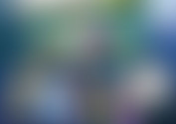 Summer Reading Challenge