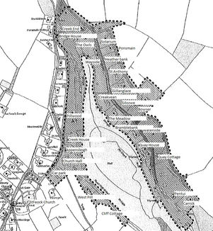 New Tree Preservation Order for Pill Creek in Feock