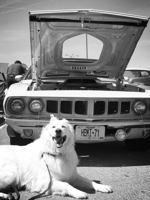 Crown Auto Parts Car Club Lisitngs