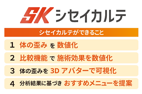 shiseikarute2.png