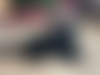 Precious Pet Spotlight: Dozer