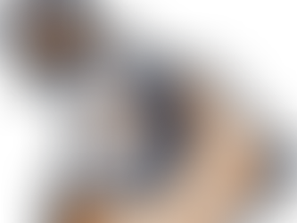 "Inside the Diamond: A Closer Look at Prospects Park with Club Owner Josh Skinner"