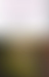 2026年4月新刊のお知らせ