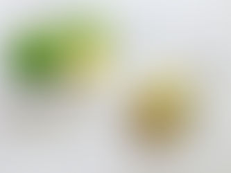 食事管理も膝痛予防策に