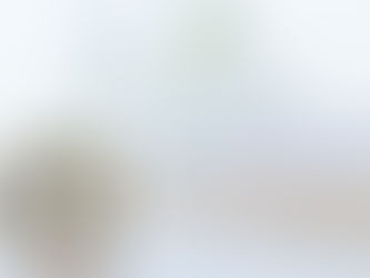 減量に向けた生活の工夫