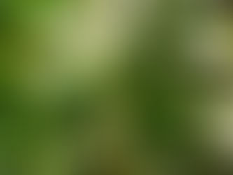 骨と筋肉Q&A⑤「日光」と「骨」