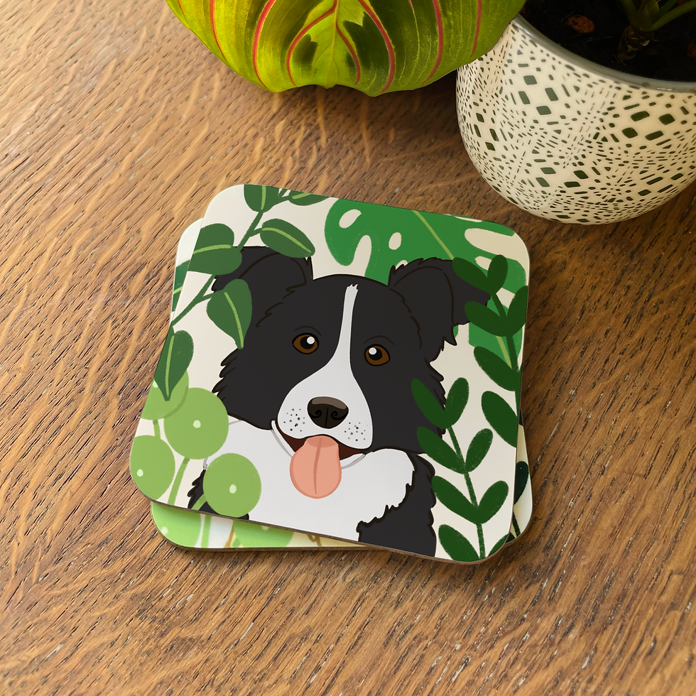 Thumbnail: Black and White Border Collie Coaster