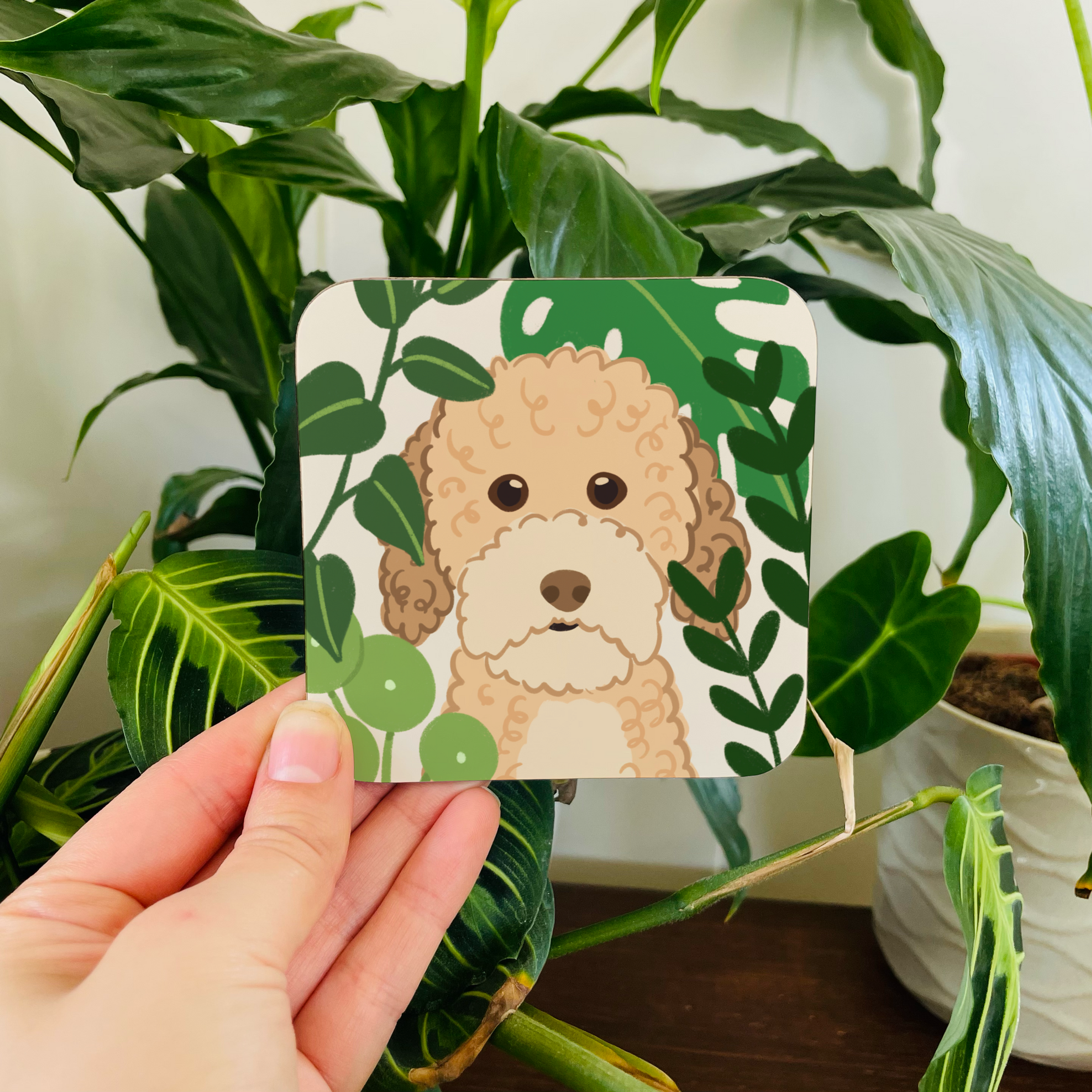 Cream Cockapoo Coaster